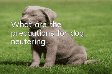 What are the precautions for dog neutering?