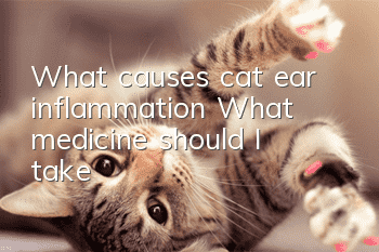 What causes cat ear inflammation? What medicine should I take?