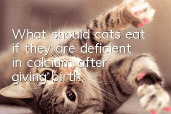 What should cats eat if they are deficient in calcium after giving birth?