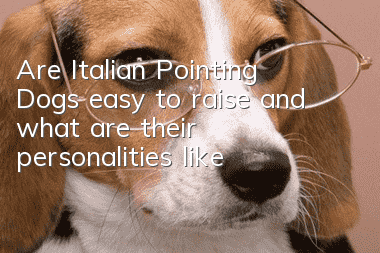 Are Italian Pointing Dogs easy to raise and what are their personalities like?