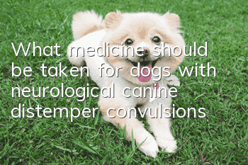 What medicine should be taken for dogs with neurological canine distemper convulsions?