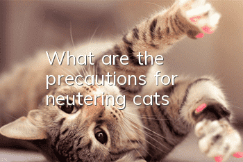 What are the precautions for neutering cats?