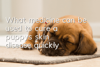 What medicine can be used to cure a puppy's skin disease quickly?