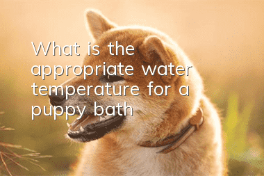 What is the appropriate water temperature for a puppy bath?
