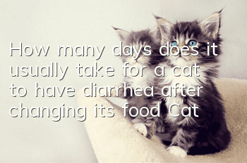 How many days does it usually take for a cat to have diarrhea after changing its food? Cats should pay attention to changing their food
