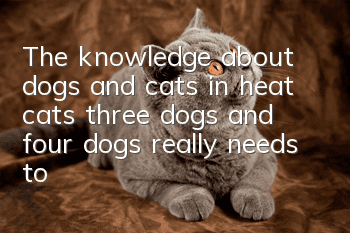 The knowledge about dogs and cats in heat, cats, three dogs and four dogs really needs to be popularized.