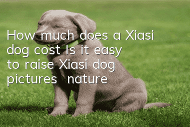 How much does a Xiasi dog cost? Is it easy to raise? Xiasi dog pictures | nature