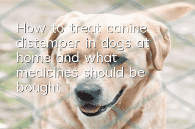 How to treat canine distemper in dogs at home and what medicines should be bought?
