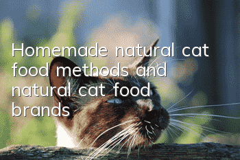 Homemade natural cat food methods and natural cat food brands