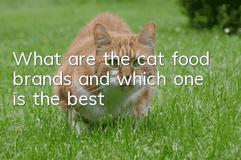 What are the cat food brands and which one is the best?