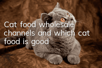 Cat food wholesale channels and which cat food is good