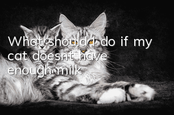 What should I do if my cat doesn’t have enough milk?