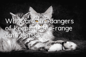 What are the dangers of keeping free-range cats outside?