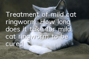 Treatment of mild cat ringworm. How long does it take for mild cat ringworm to be cured?