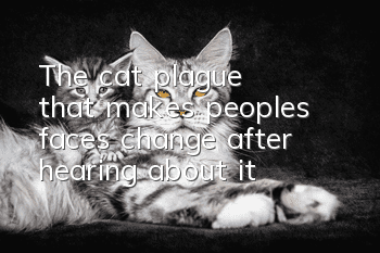 The “cat plague” that makes people’s faces change after hearing about it