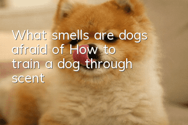 What smells are dogs afraid of? How to train a dog through scent?