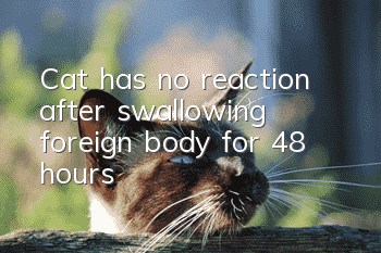 Cat has no reaction after swallowing foreign body for 48 hours