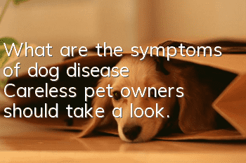 What are the symptoms of dog disease? Careless pet owners should take a look.