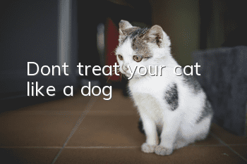 Don’t treat your cat like a dog!