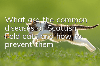 What are the common diseases of Scottish Fold cats and how to prevent them?