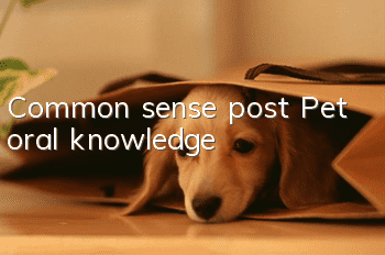 Common sense post! Pet oral knowledge