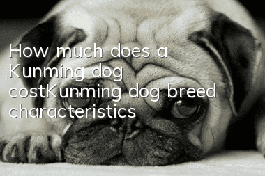 How much does a Kunming dog cost_Kunming dog breed characteristics