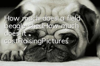 How much does a field beagle shed?_How much does it cost_Raising_Pictures