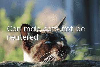 Can male cats not be neutered?