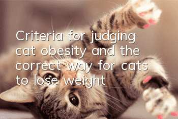 Criteria for judging cat obesity and the correct way for cats to lose weight