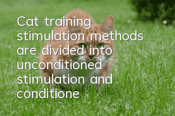 Cat training stimulation methods are divided into unconditioned stimulation and conditioned stimulation