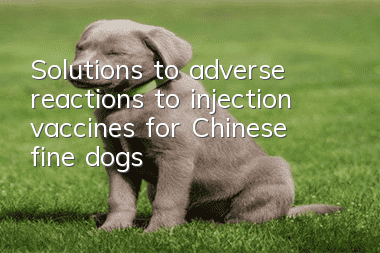 Solutions to adverse reactions to injection vaccines for Chinese fine dogs