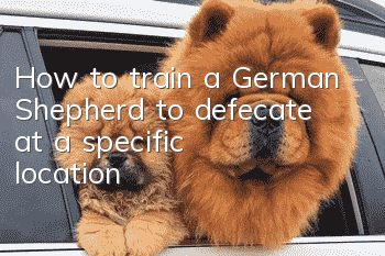 How to train a German Shepherd to defecate at a specific location?