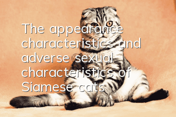 The appearance characteristics and adverse sexual characteristics of Siamese cats