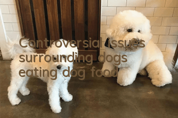 Controversial issues surrounding dogs eating dog food