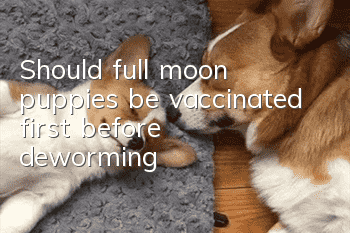 Should full moon puppies be vaccinated first before deworming?