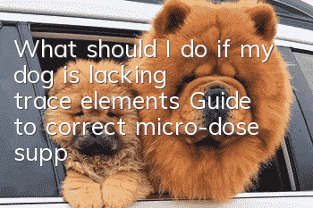 What should I do if my dog is lacking trace elements? Guide to correct micro-dose supplementation for dogs