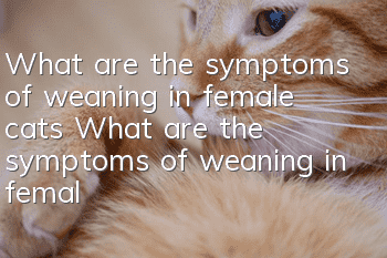 What are the symptoms of weaning in female cats? What are the symptoms of weaning in female cats?