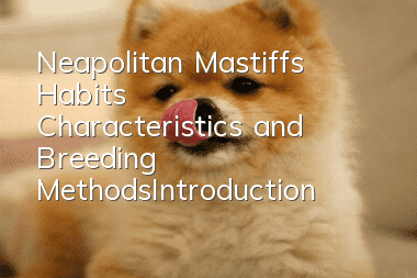 Neapolitan Mastiff’s Habits, Characteristics and Breeding Methods_Introduction