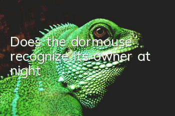 Does the dormouse recognize its owner at night?