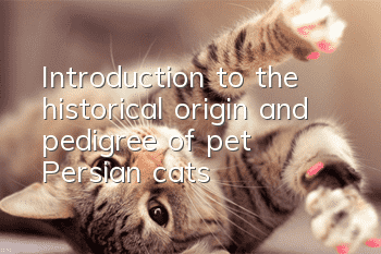 Introduction to the historical origin and pedigree of pet Persian cats