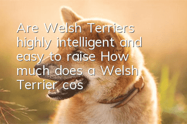 Are Welsh Terriers highly intelligent and easy to raise? How much does a Welsh Terrier cost?