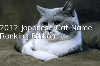 2012 Japanese Cat Name Ranking Edition