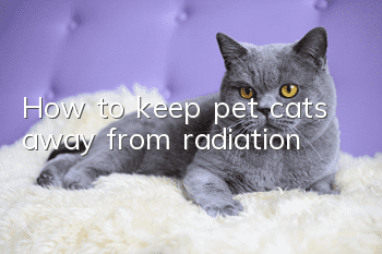 How to keep pet cats away from radiation?