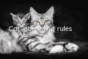 Cat inbreeding rules