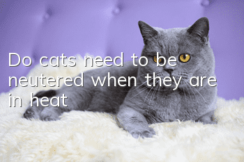 Do cats need to be neutered when they are in heat?