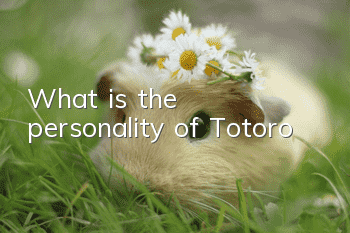 What is the personality of Totoro?