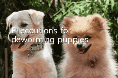 Precautions for deworming puppies