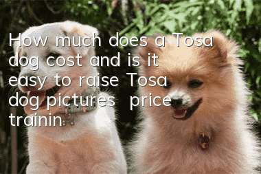 How much does a Tosa dog cost and is it easy to raise? Tosa dog pictures | price | training