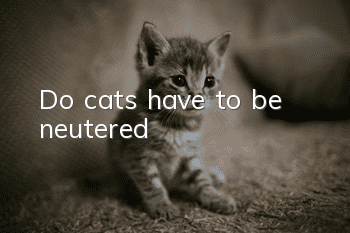 Do cats have to be neutered?