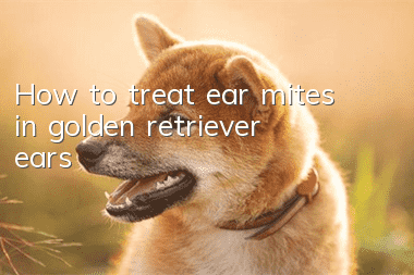 How to treat ear mites in golden retriever ears